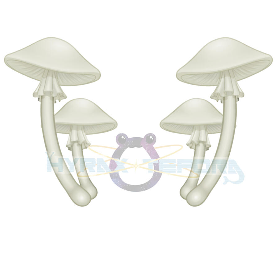 Mika's Mushroom Horns Asset Mika's Mushroom Horns Asset